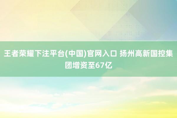 王者荣耀下注平台(中国)官网入口 扬州高新国控集团增资至67亿