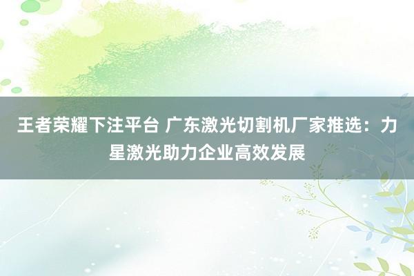 王者荣耀下注平台 广东激光切割机厂家推选：力星激光助力企业高效发展