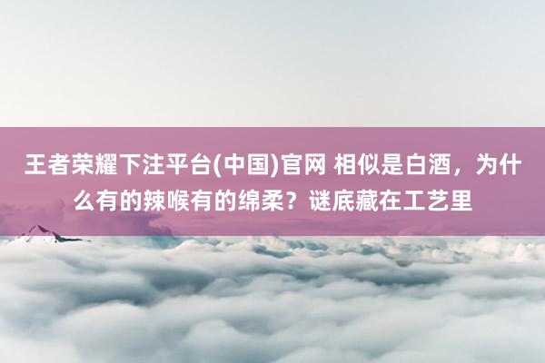王者荣耀下注平台(中国)官网 相似是白酒，为什么有的辣喉有的绵柔？谜底藏在工艺里