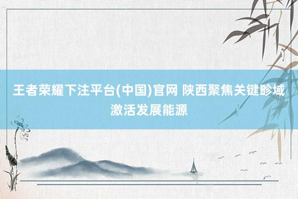 王者荣耀下注平台(中国)官网 陕西聚焦关键畛域激活发展能源