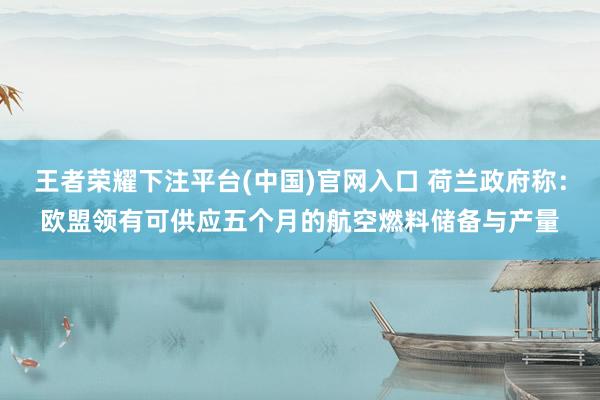 王者荣耀下注平台(中国)官网入口 荷兰政府称：欧盟领有可供应五个月的航空燃料储备与产量
