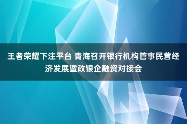 王者荣耀下注平台 青海召开银行机构管事民营经济发展暨政银企融资对接会