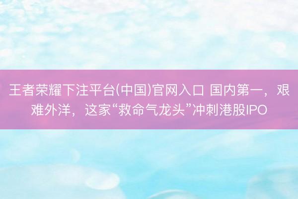 王者荣耀下注平台(中国)官网入口 国内第一，艰难外洋，这家“救命气龙头”冲刺港股IPO