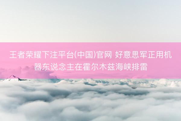 王者荣耀下注平台(中国)官网 好意思军正用机器东说念主在霍尔木兹海峡排雷