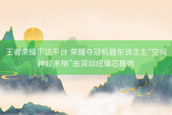 王者荣耀下注平台 荣耀夺冠机器东说念主“空间神经末梢”由深圳纽瑞芯提供